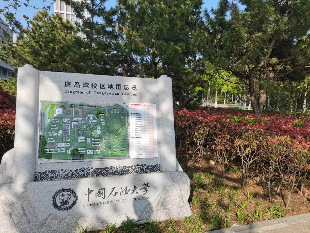 Китайский нефтяной университет (Восточный Китай)