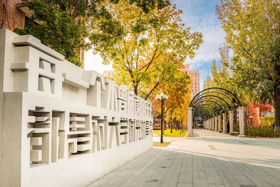 Китайский университет коммуникаций