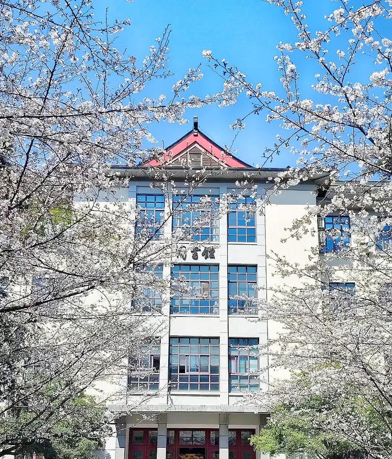 Нанкинский лесной университет