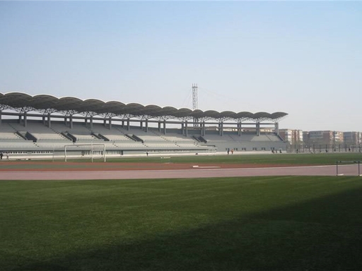 Стадион вуза